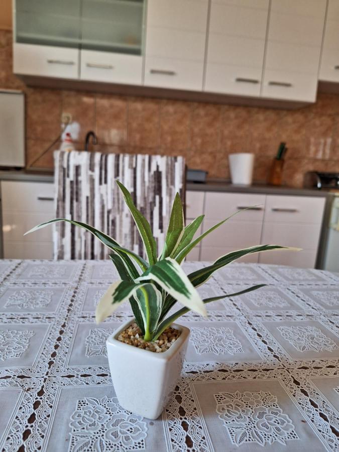 Mara Lägenhet Zadar Exteriör bild